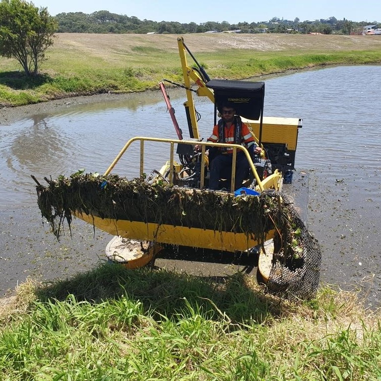 20191208 Gccc Tugun Salvinia Removal