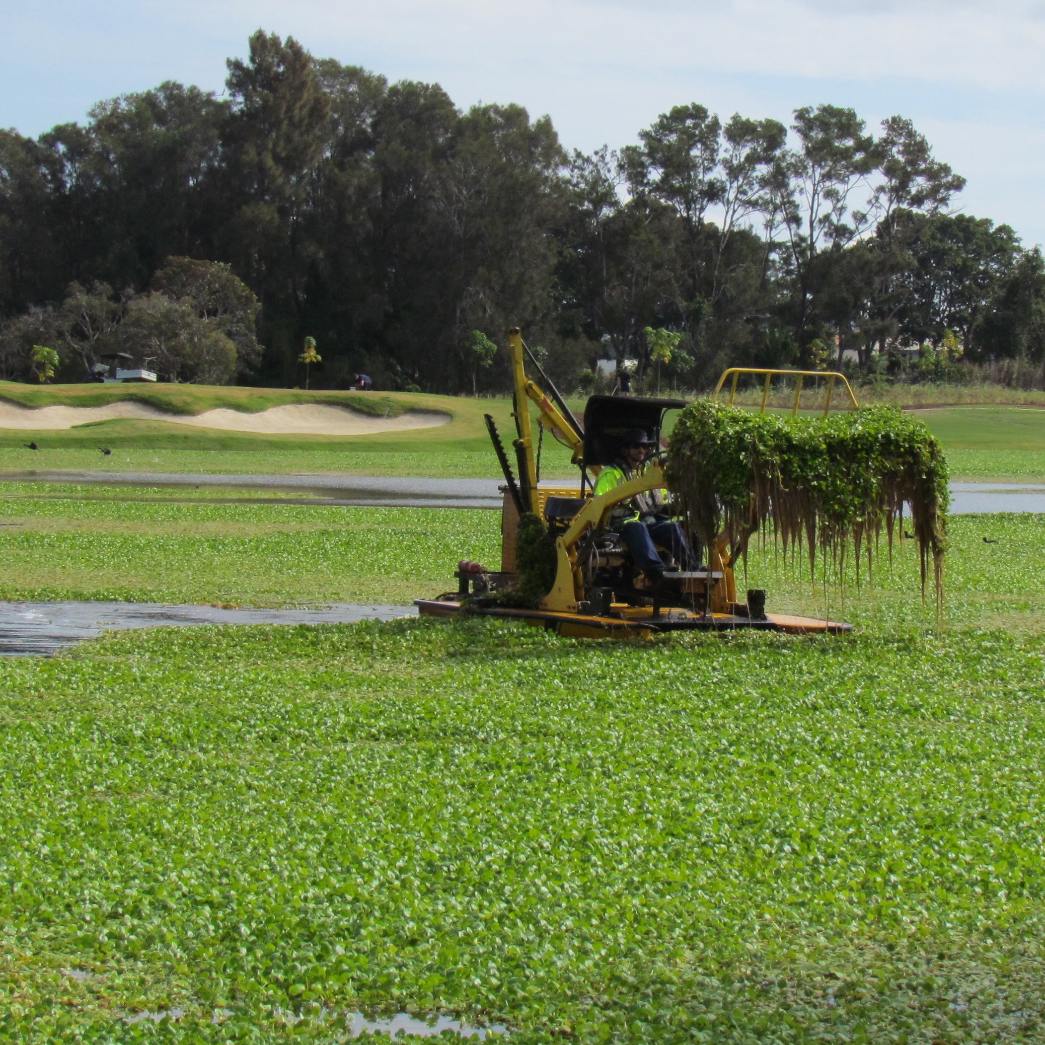 Aquatic Weed Harvesting